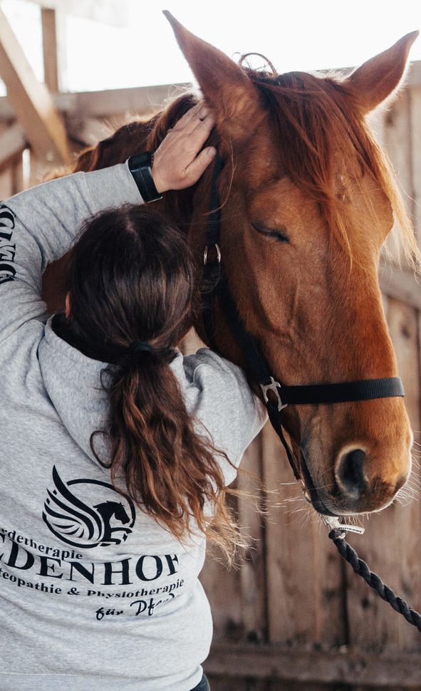 Pferdephysio Ostfriesland Eine Person streichelt das Pferd in einem Stall, beide fokussiert und entspannt.